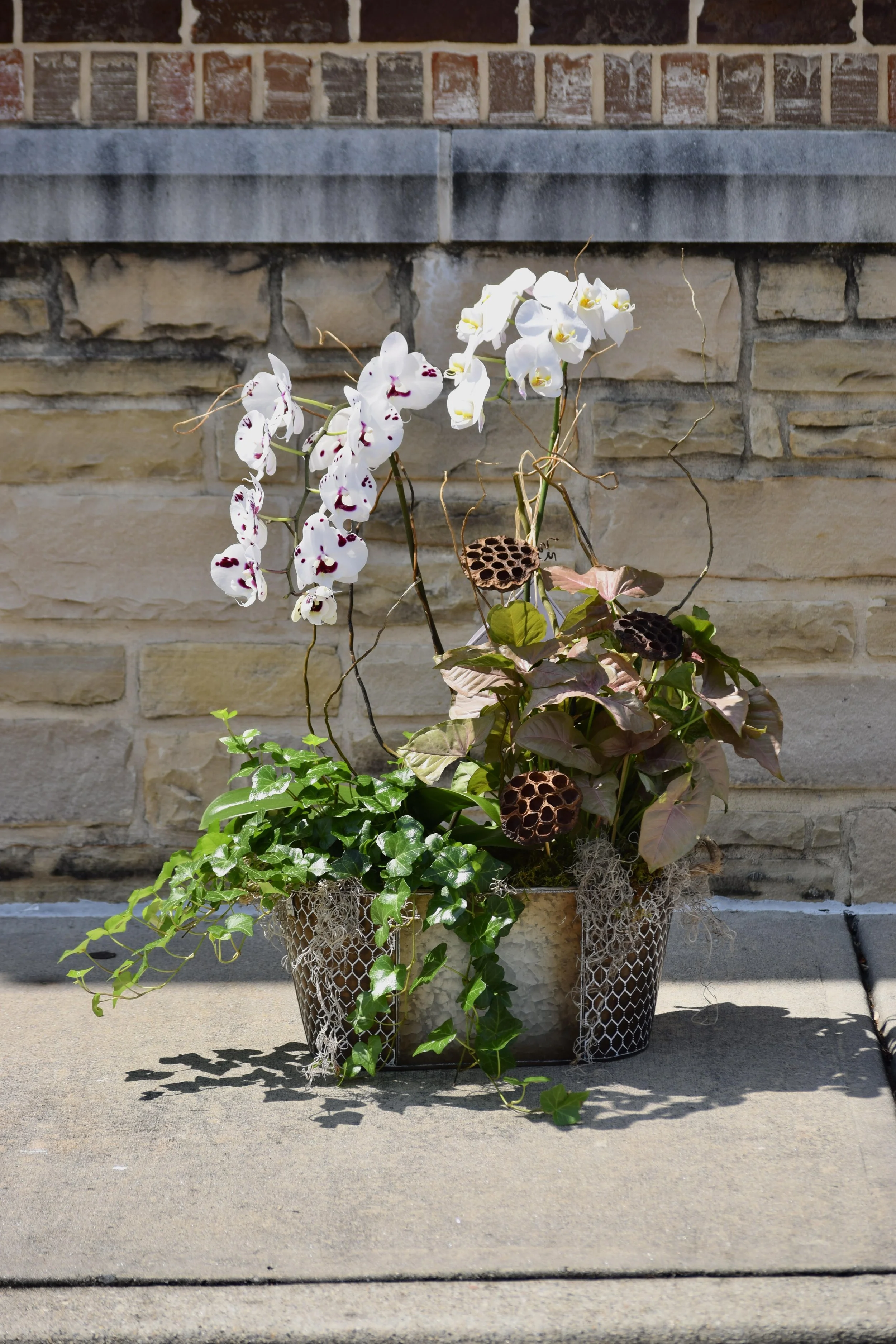 double orchid baskeet.jpg
