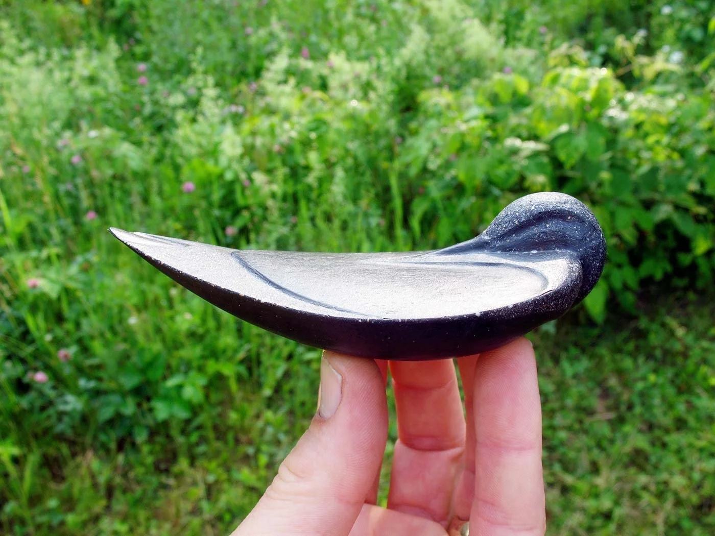 palm_bird02_5956.jpeg