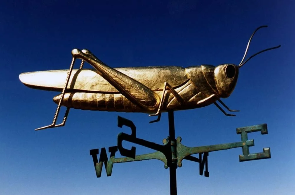 grasshoper_vane.jpg-nggid03361-ngg0dyn-1000x660x100-00f0w010c010r110f110r010t010.jpeg