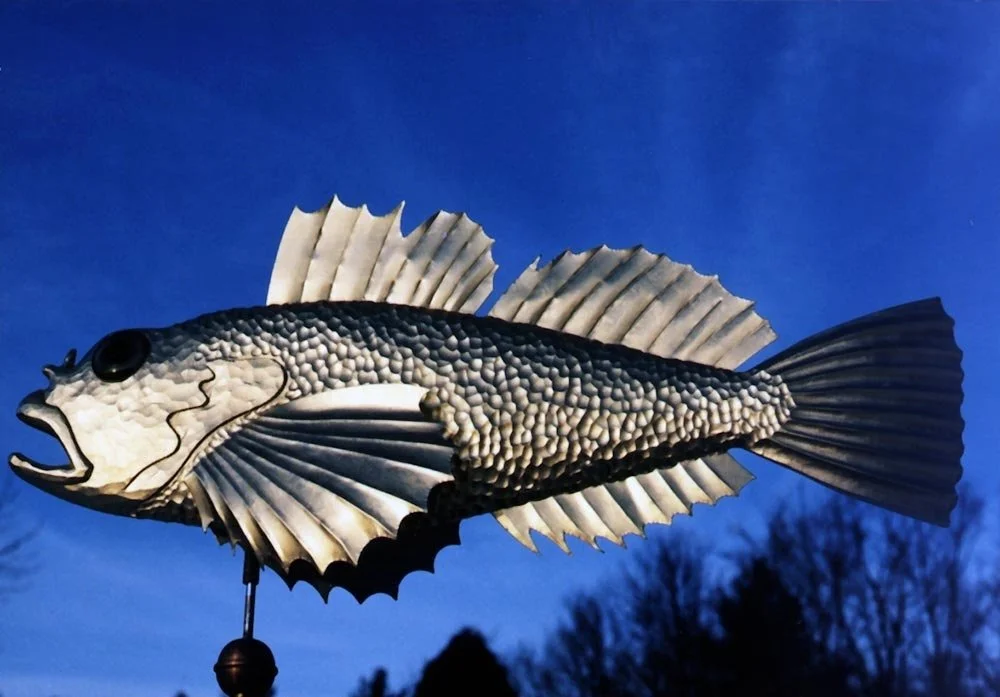 fish3_v.jpg-nggid03359-ngg0dyn-1000x697x100-00f0w010c010r110f110r010t010.jpeg
