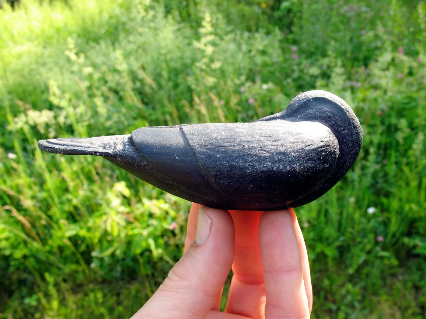 palm_bird01_5959.jpeg