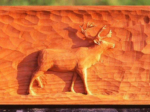 mantel_elk.jpg-nggid03176-ngg0dyn-623x467x100-00f0w010c010r110f110r010t010.jpeg