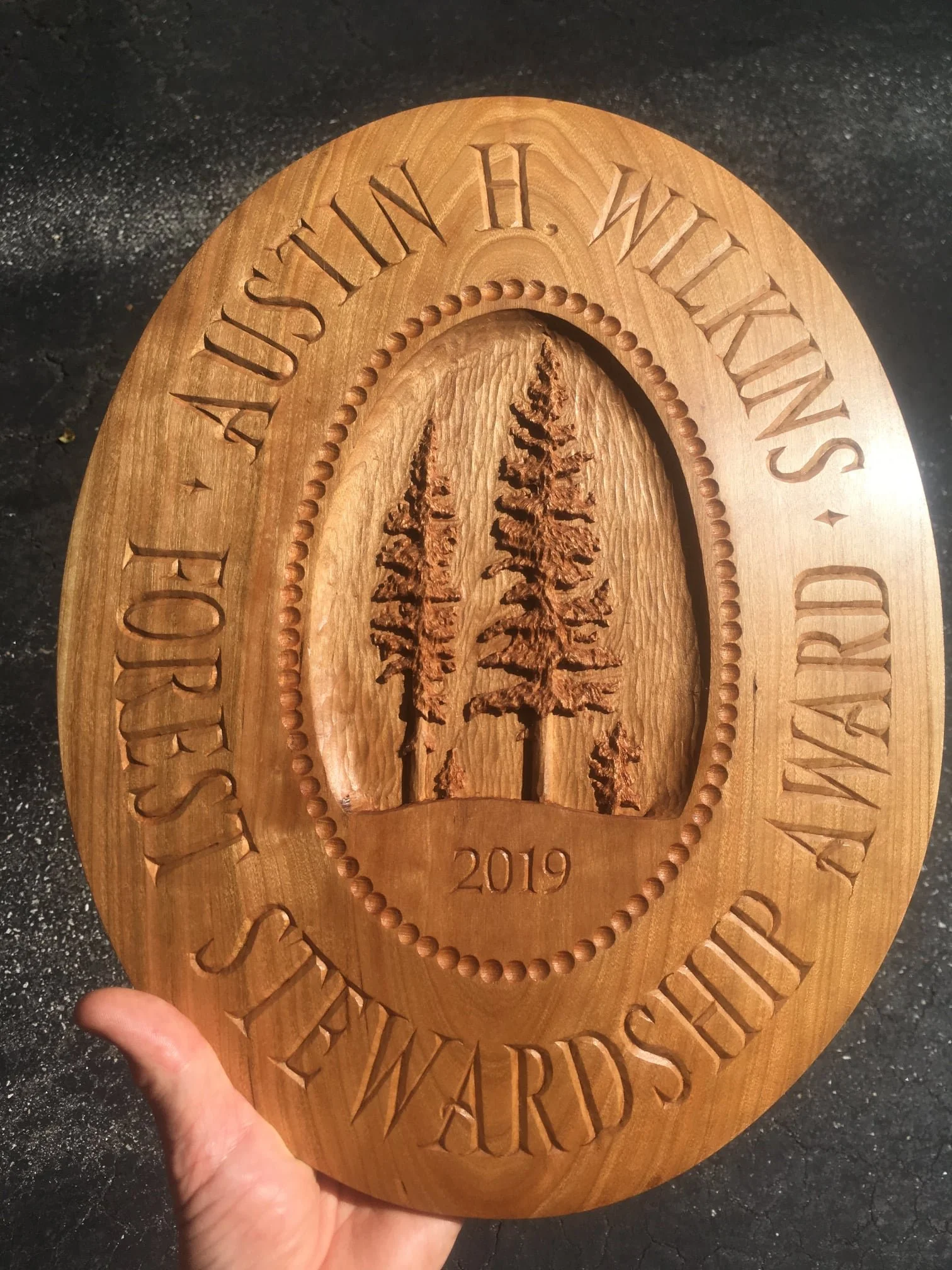 Austin Wilkins Award.jpeg