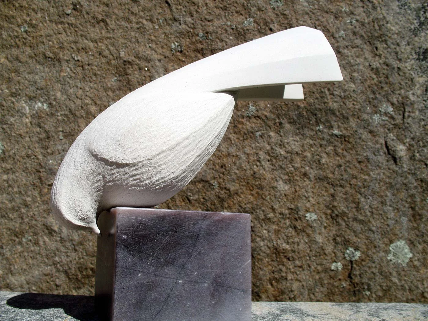 concrete_dove_01_5746.jpeg