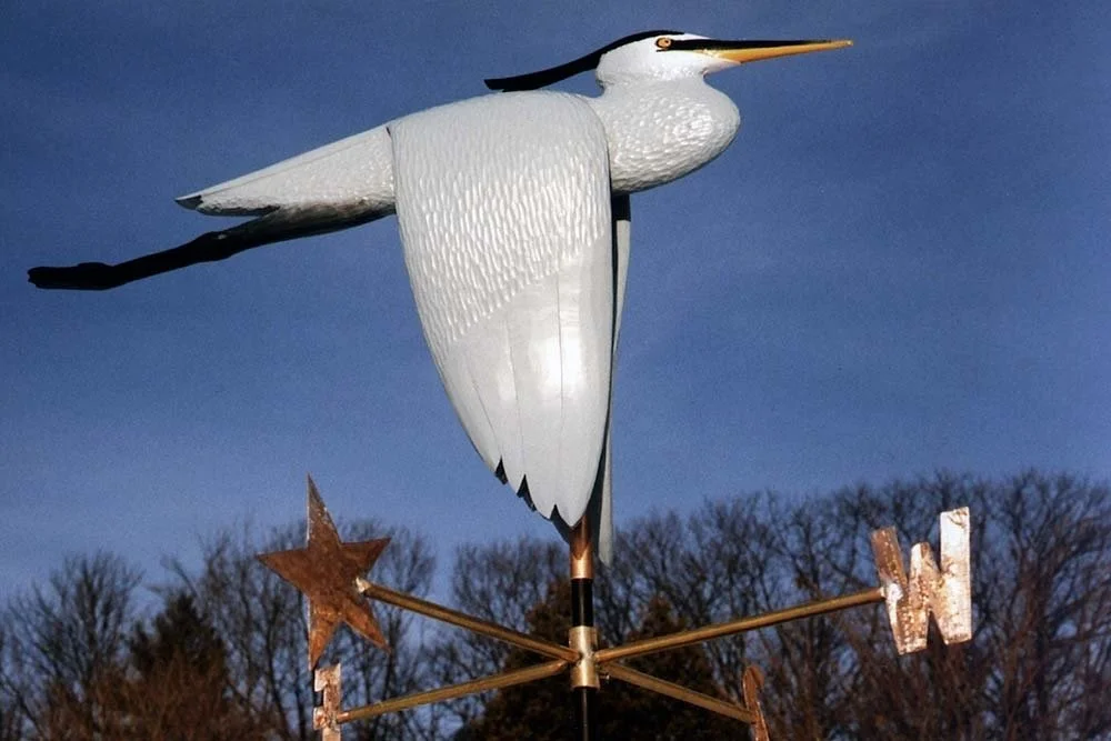 heron2_v-1.jpg-nggid03363-ngg0dyn-1000x667x100-00f0w010c010r110f110r010t010.jpeg