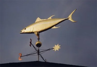 tuna.jpeg