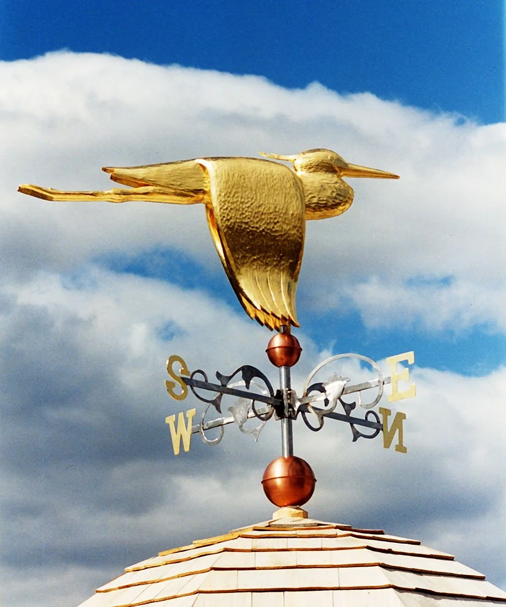 heron-vane.jpg-nggid03149-ngg0dyn-1002x1200x100-00f0w010c010r110f110r010t010.jpeg