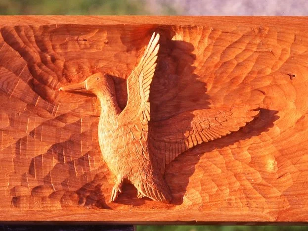 mantel_duck.jpg-nggid03175-ngg0dyn-623x467x100-00f0w010c010r110f110r010t010.jpeg
