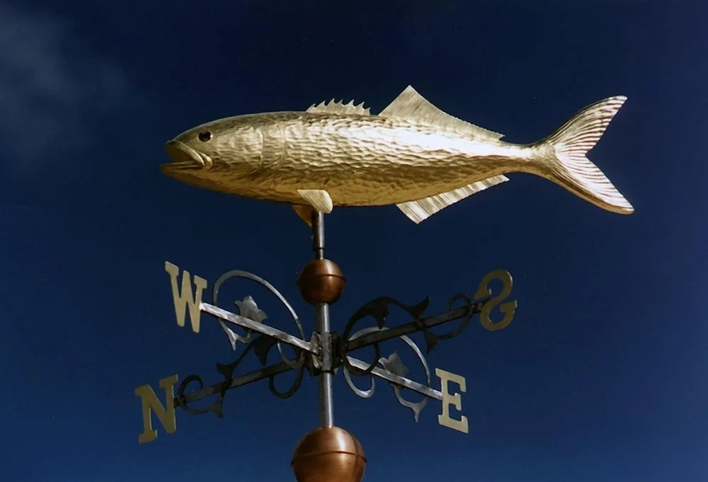 tuna_vane.jpg-nggid03368-ngg0dyn-1000x681x100-00f0w010c010r110f110r010t010.jpeg