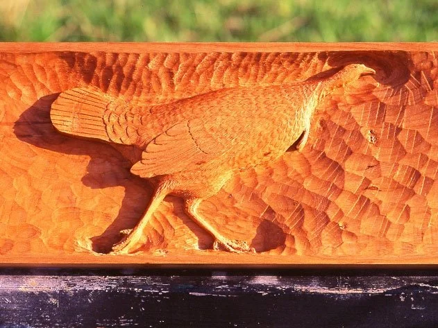mantel_pheasant.jpg-nggid03179-ngg0dyn-631x473x100-00f0w010c010r110f110r010t010.jpeg