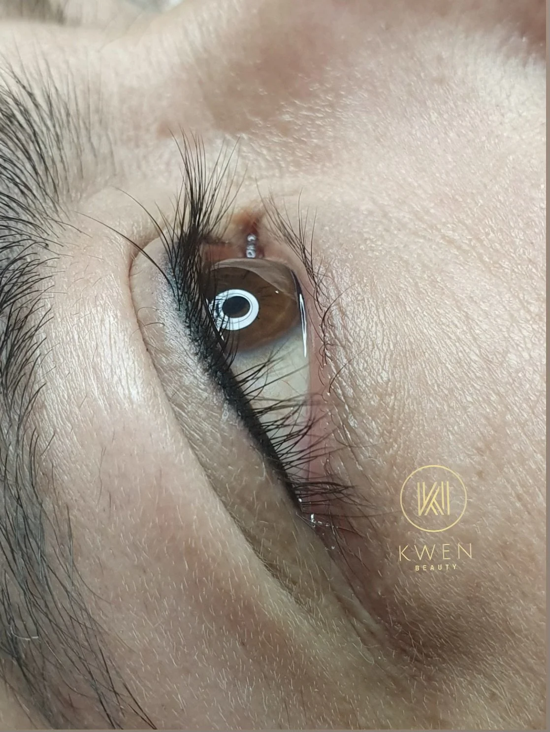 RenderedImage 2.jpeg