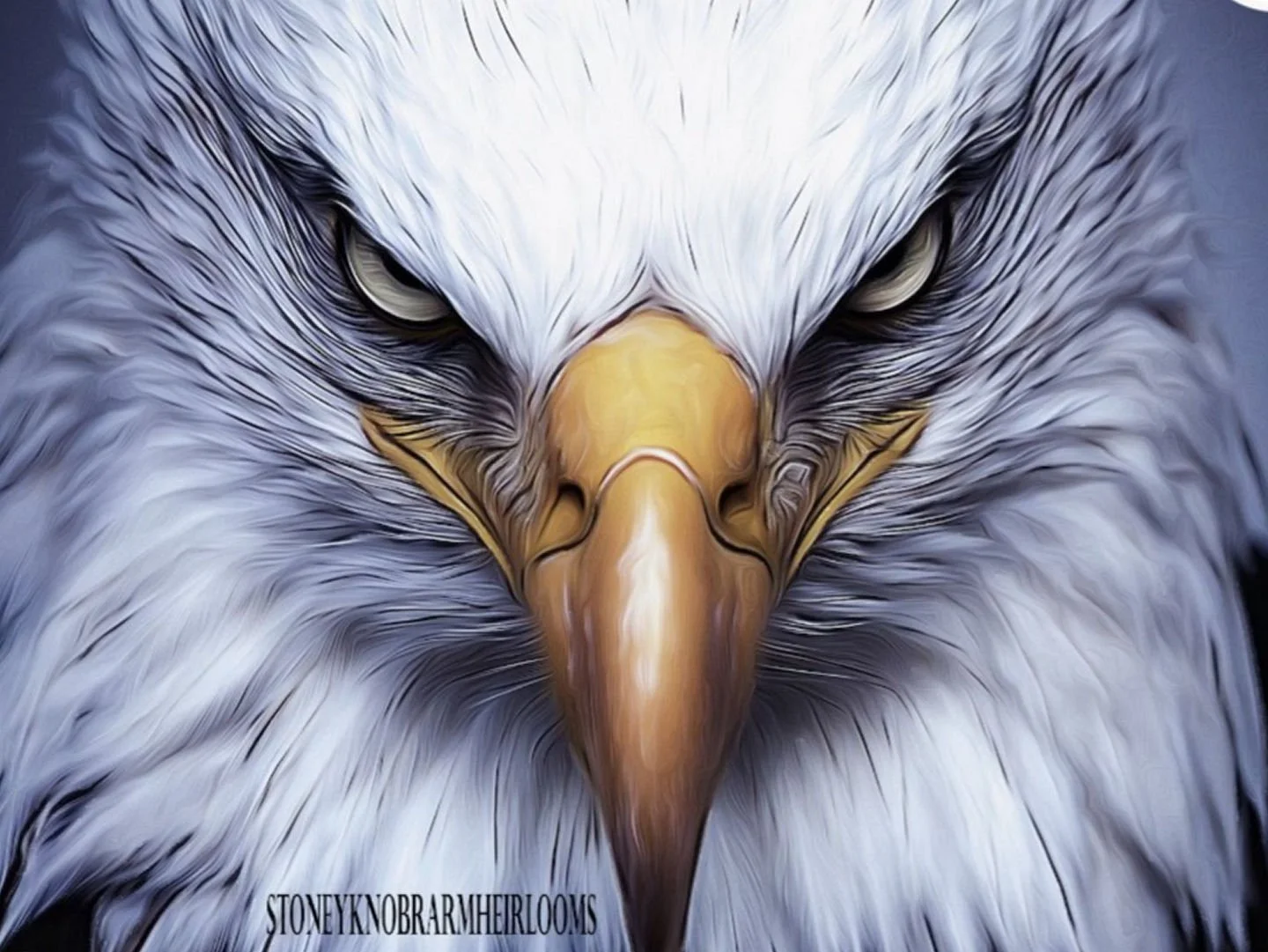 🏈Eagles Vs Cowboys !!! 4:30pm on Fox...🏈
#Football #Fall2025 #PayItForward #BurroughsMill #LoveWhereYouLive #CherryHillNj #BehindCherryHillMall #Flats #Townhomes #Garages #Petfriendly #LocationLocationLocation #NjApartmentHomes #LuxuryLiving #Aweso