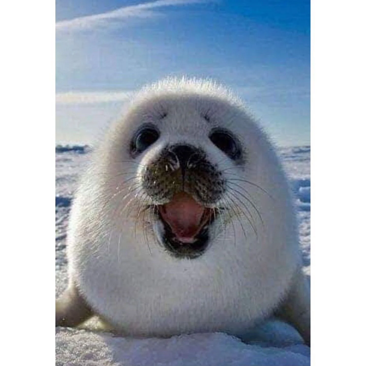 ❄️&quot;I'm back in the Burroughs Mill office today! If you need anything at all, I am here for you.&quot;❄️