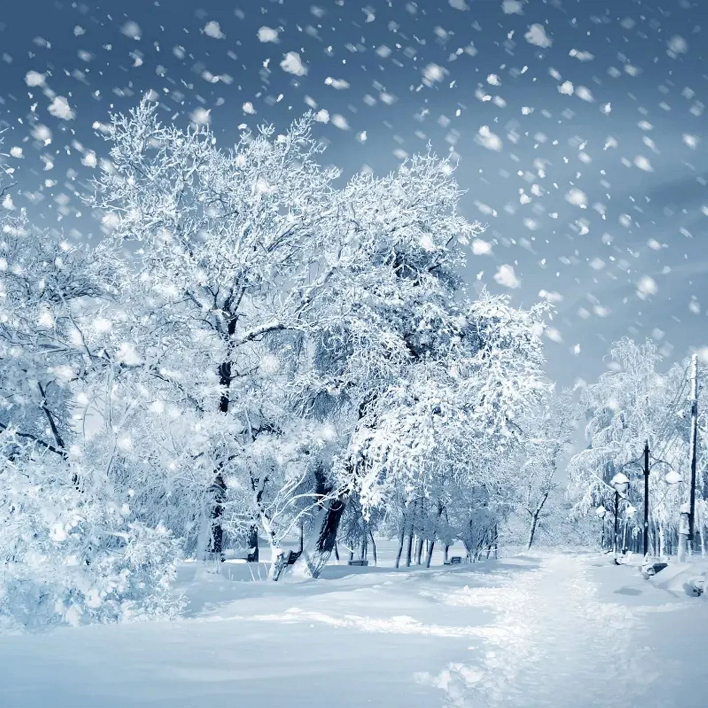 ❄️BM Family~there is a storm a brewing and headed right towards us !!! Please take a little bit of time to prepare and secure outdoor belongings and your Valet Trash Can. Wishing everyone a super fun weekend !!! ❄️
#StormIsComing #GirlScoutCookies #K