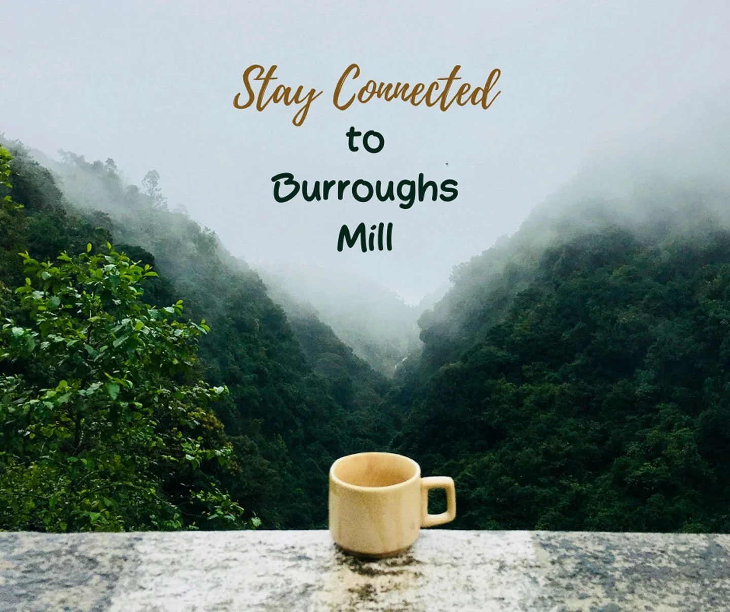 🪶BM Family stay in the know by following Burroughs Mill on Facebook and Instagram !!! Stay connected for community events, updates and local activites. Love where you live...🪶
#Facebook #Instagram #Kindness #BeKind #NowLeasing #Renting #February202