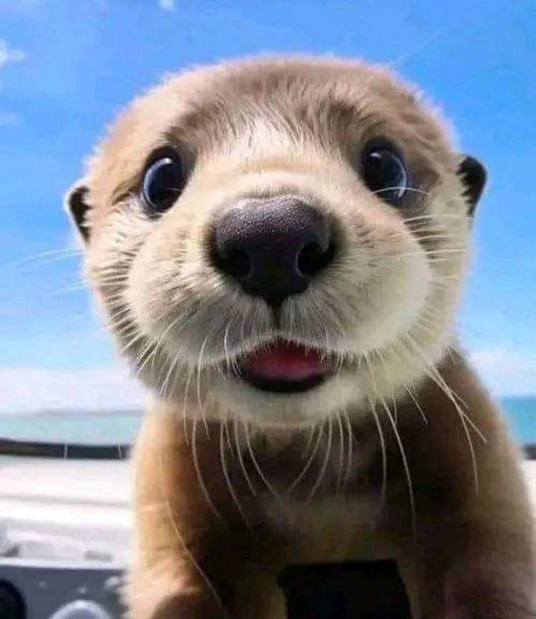 👋Bye Bye February 2026👋You were cold...but you kept us moving! On to brighter days ahead, ready for March madness!!!🌷✨️
#MarchMadness #Kindness #BeKind #NowLeasing #Renting #February2026 #PayItForward #BurroughsMill #LoveWhereYouLive #CherryHillNj