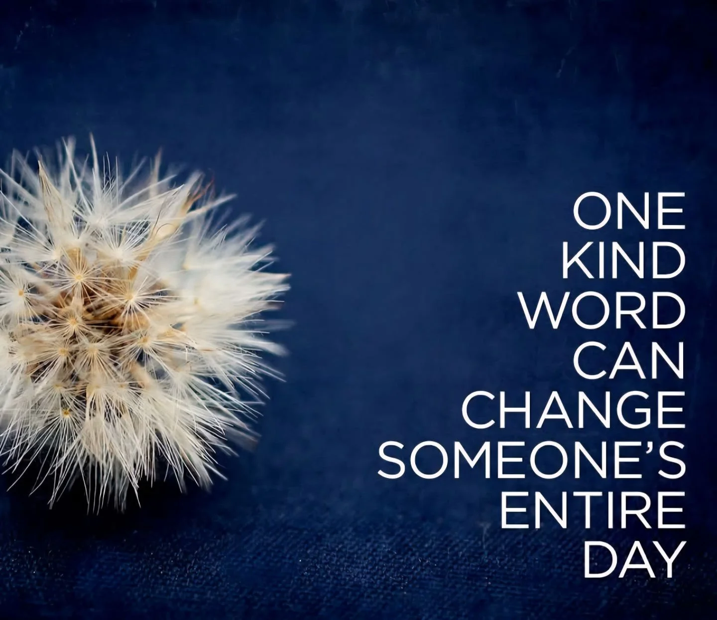 🌺BM Family be the source of kindness today, if you can make someone's day better, you won!!!🌺
#LiveBurroughsMill #MakeBurroughsMillYourHome #KindnessFirst #BeKind #BeBrave #NowLeasing #Renting #March2026 #PayItForward #BurroughsMill #LoveWhereYouLi
