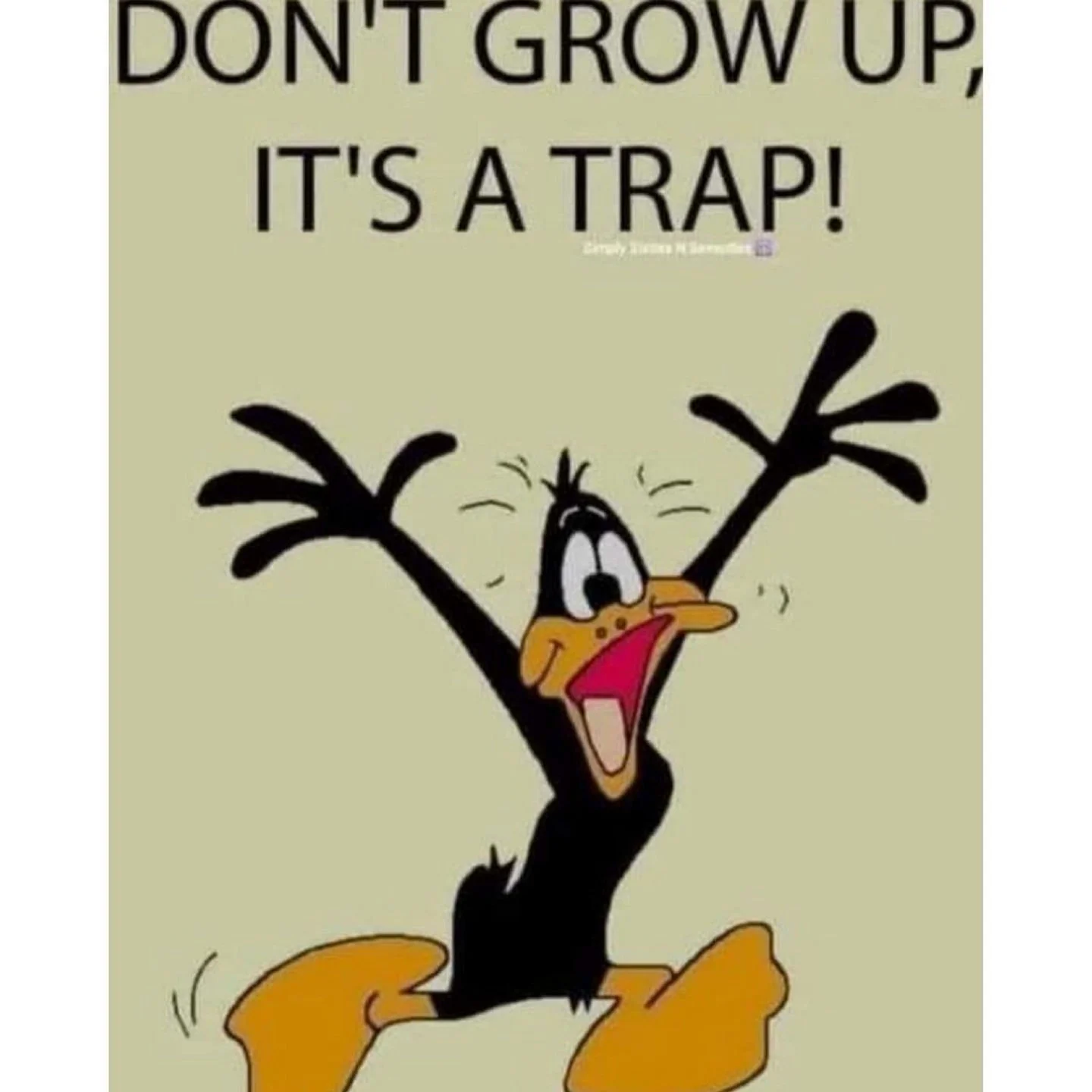 BM Family a hump day giggle for You !!! Enjoy your day !!!🤣🤣🤣
#HumpDay #LiveBurroughsMill.Com #MakeBurroughsMillYourHome #KindnessFirst #BeKind #BeBrave #NowLeasing #Renting #March2026 #PayItForward #BurroughsMill #LoveWhereYouLive #CherryHillNj #