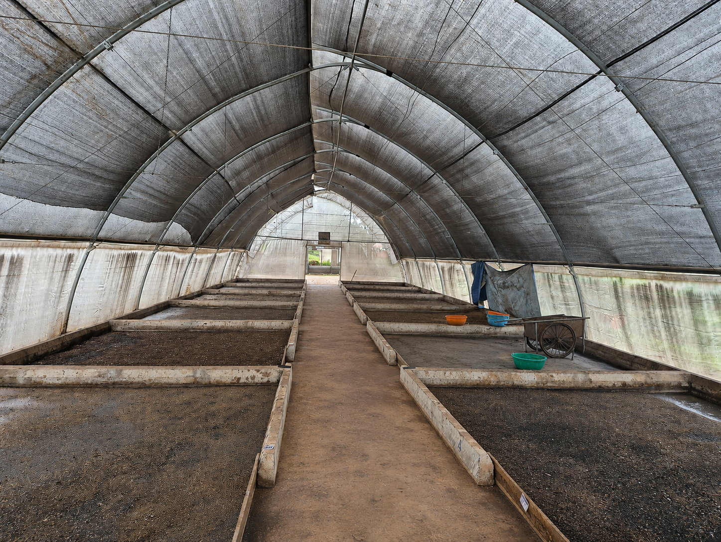 Outgrowing facility Uganda Bioconvision