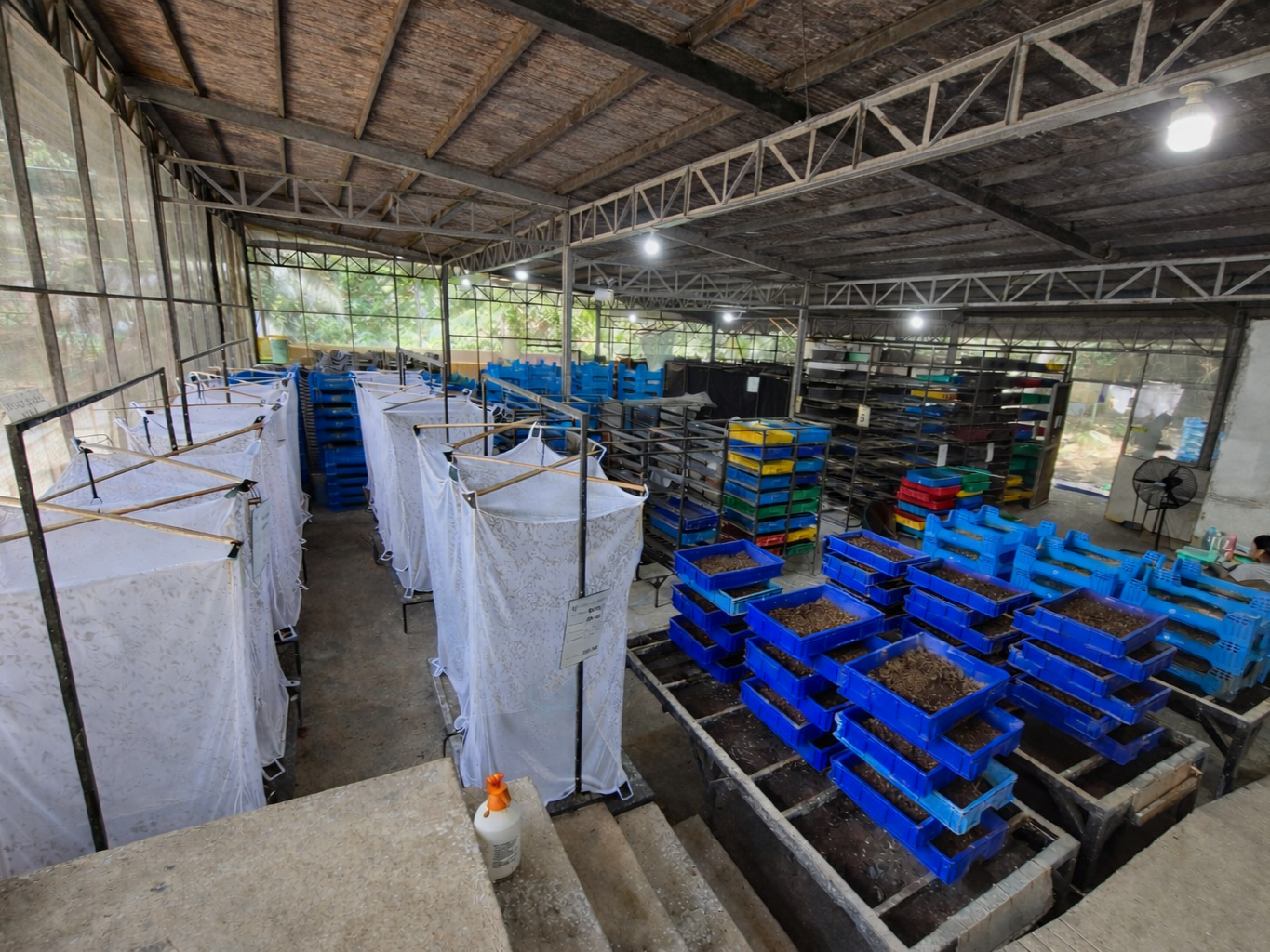 BSF Facility LimaDOL Philippines