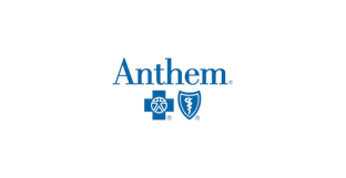 Blue Cross Blue Shield Insurance Icon
Blue Cross Blue Shield Insurance Icon
Anthem Blue Cross Blue Shield Insurance Icon