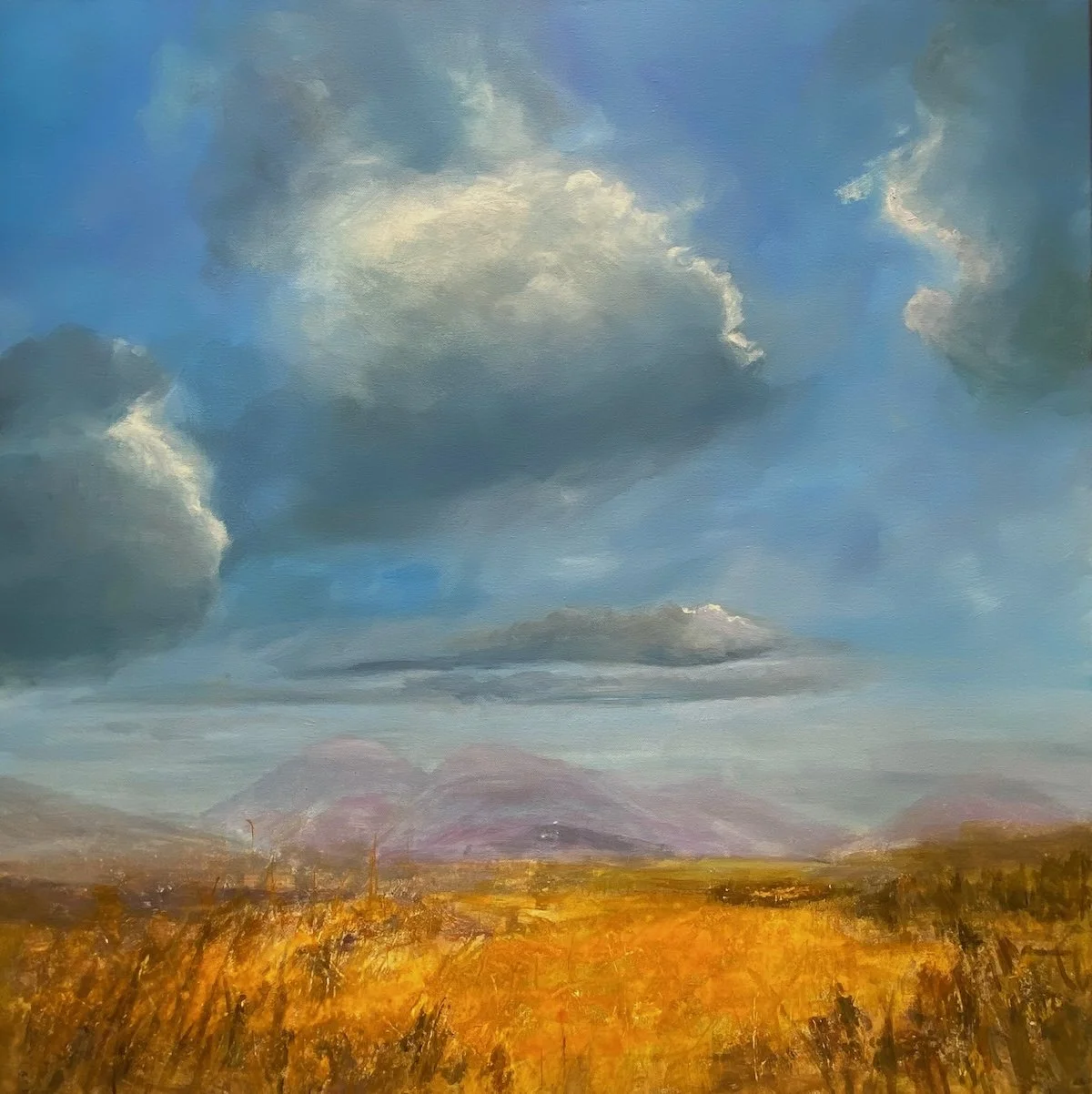 pos-cathy-wagstaff-barley-fields.jpeg