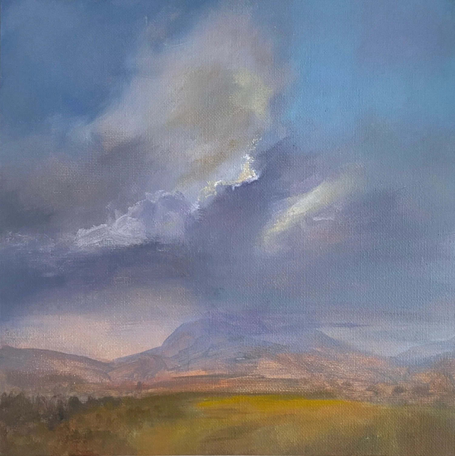 Barley Fields at Dusk, available at The Perthshire Gallery Winter Show, Pitlochry, 25x25cm - £265