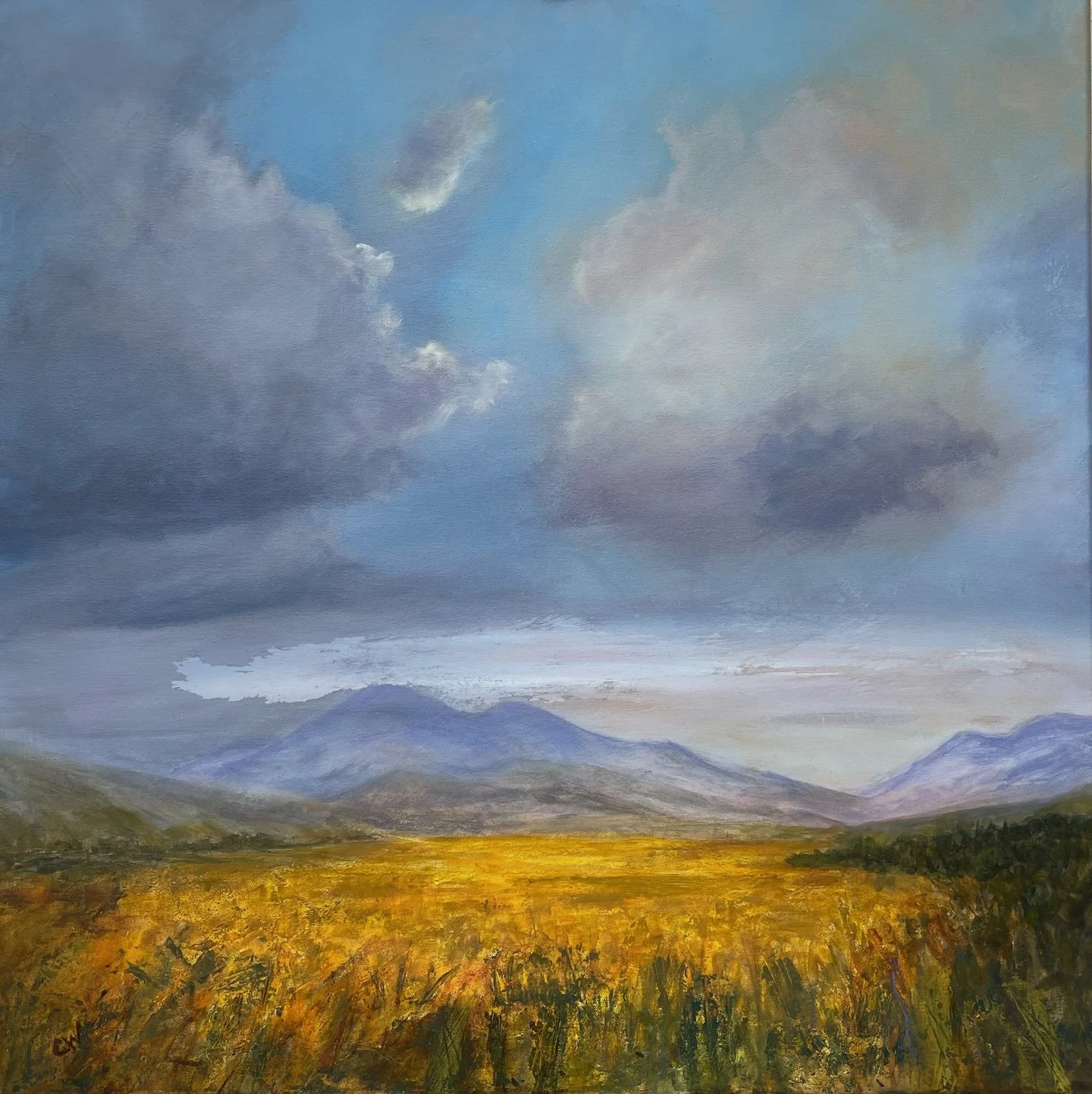 Barley Fields