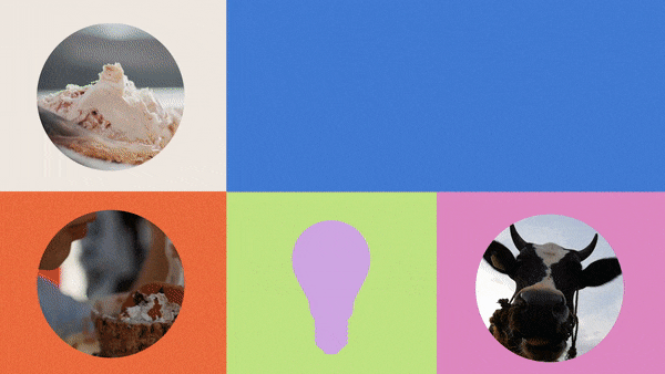 ezgif.com-gif-maker copy 2.gif