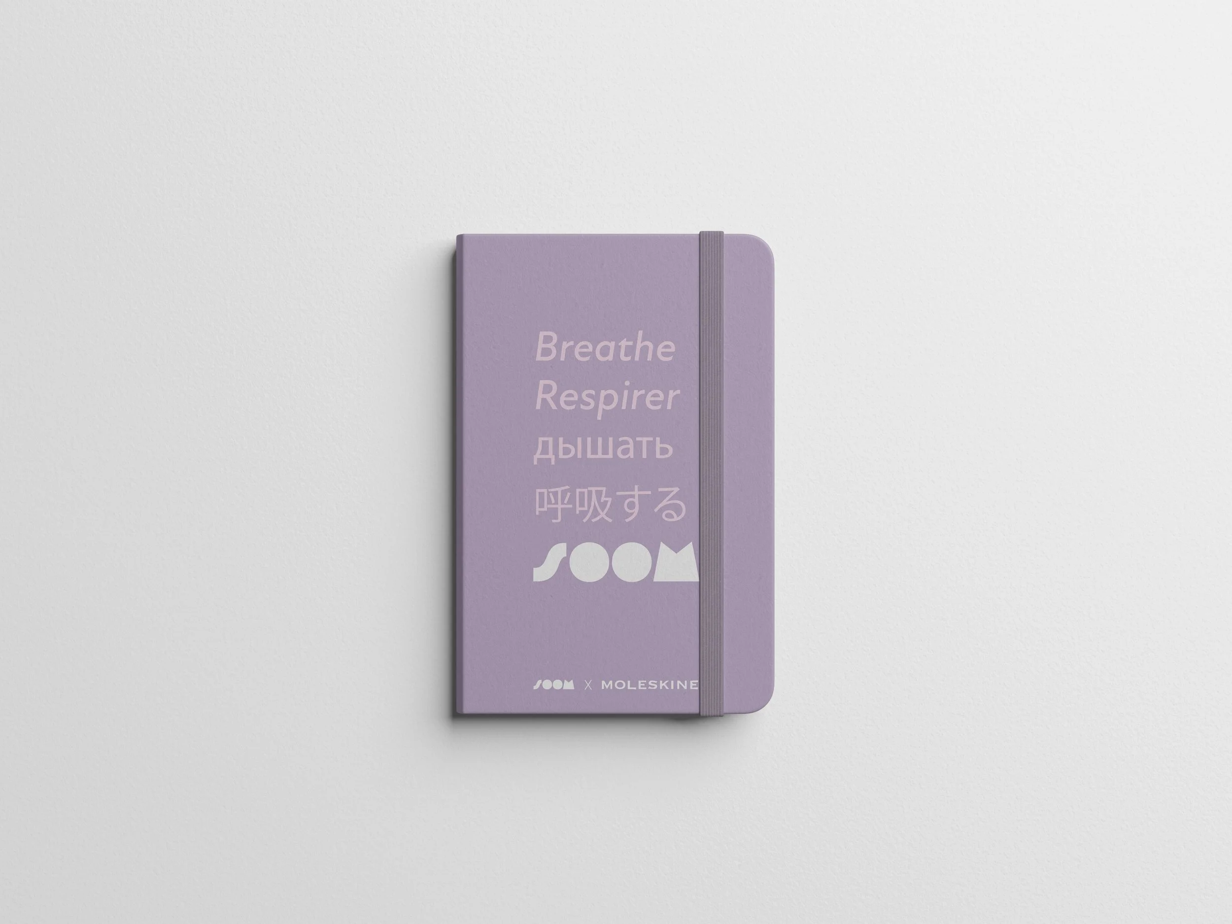 moleskin2.jpg