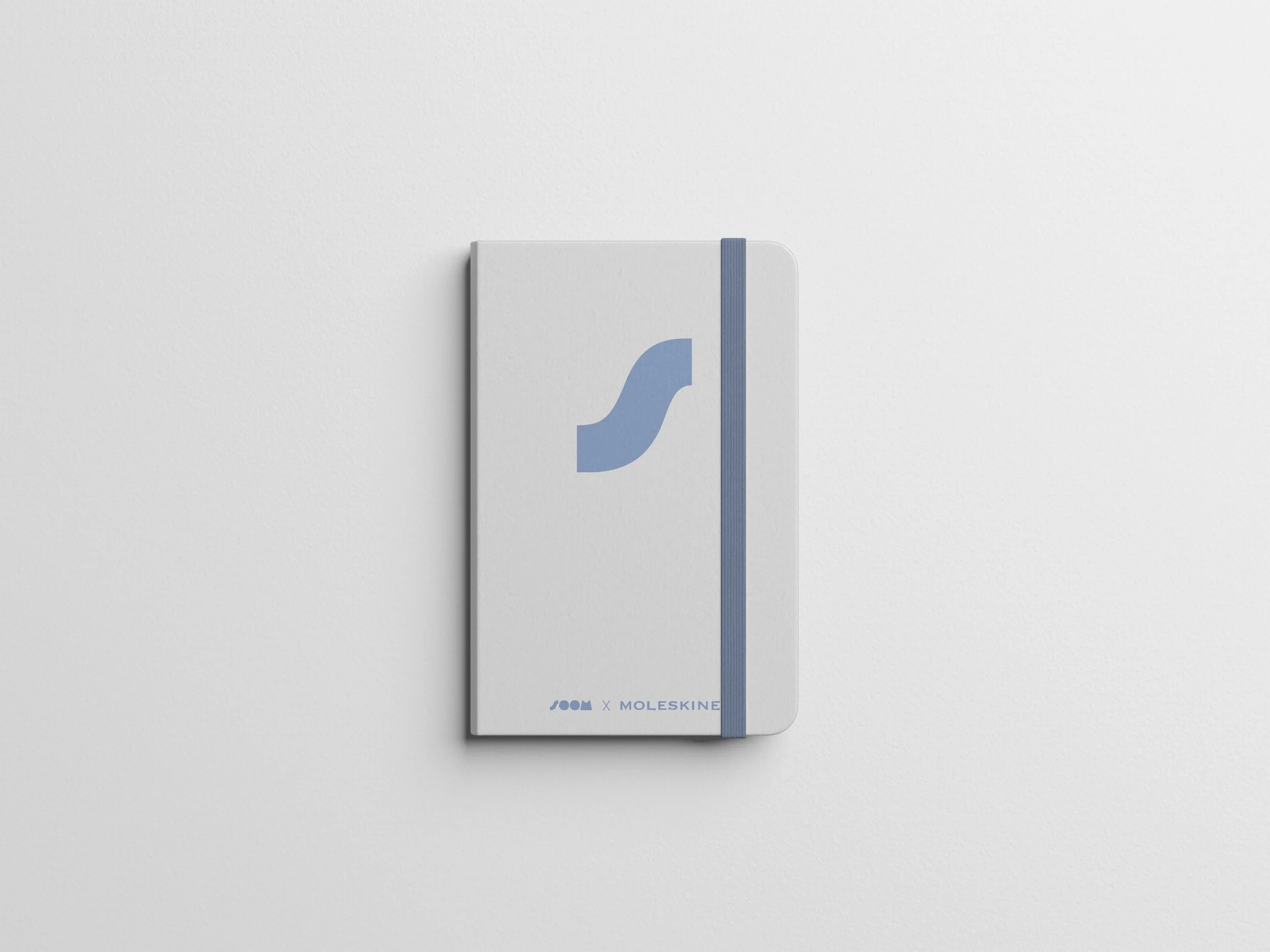 moleskin3.jpg