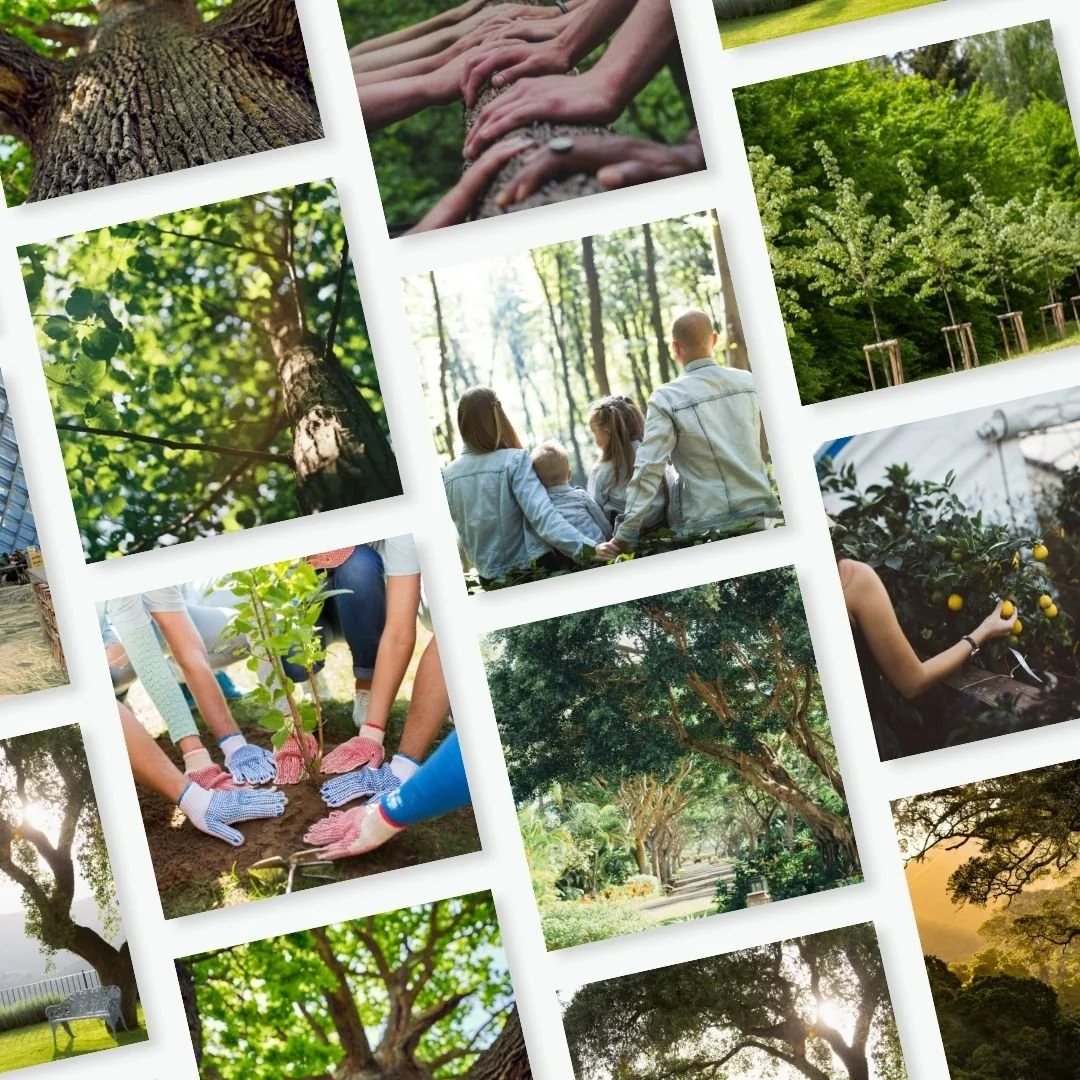 green fenix portfolio (2).jpg