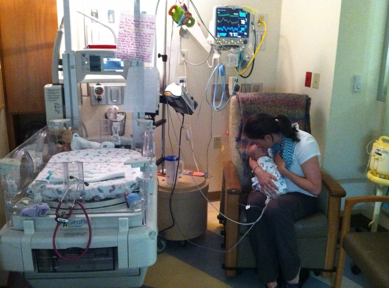 The stars that shine when darkness falls