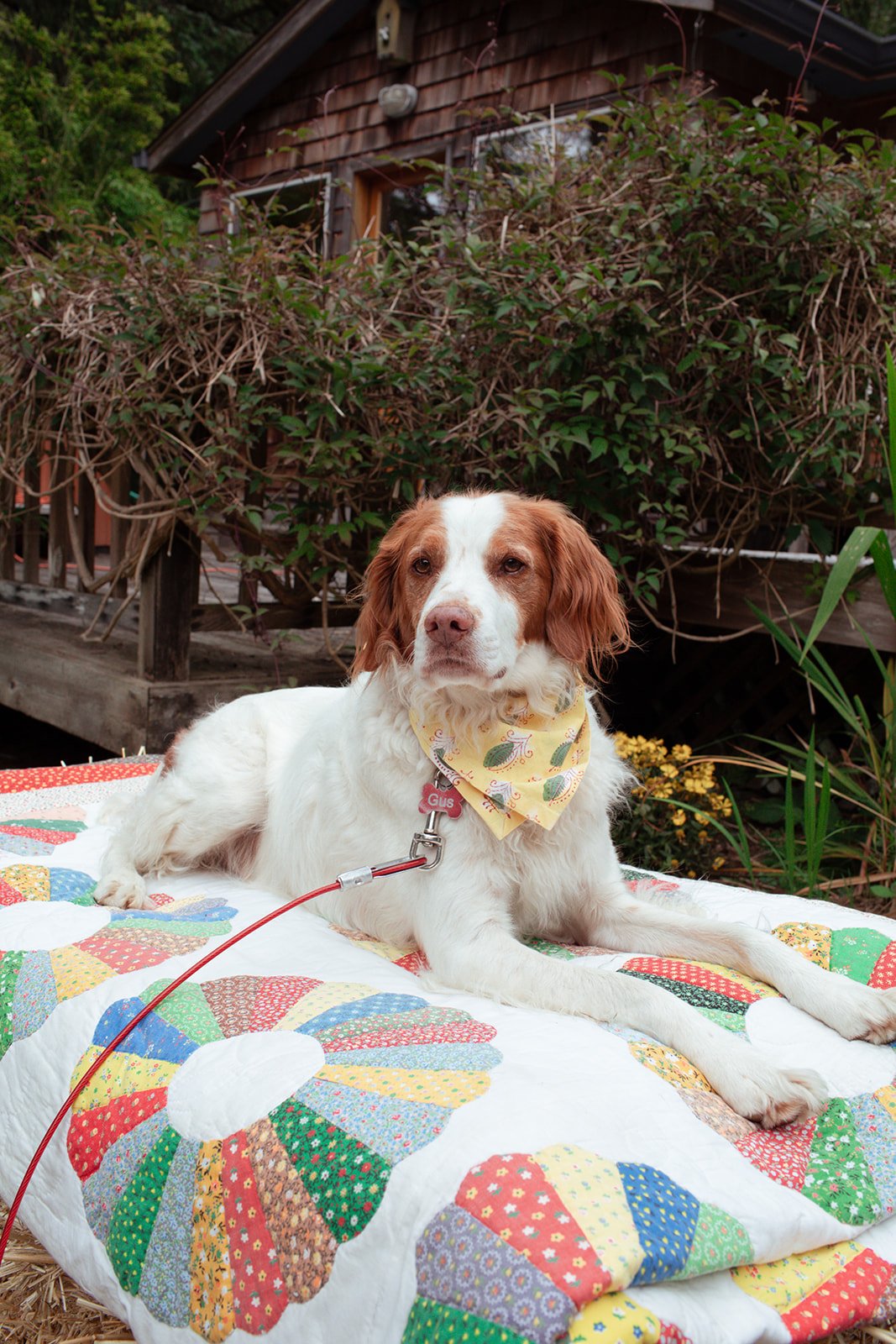 JessBuckleyPhoto-AshleyJustin-344.jpg