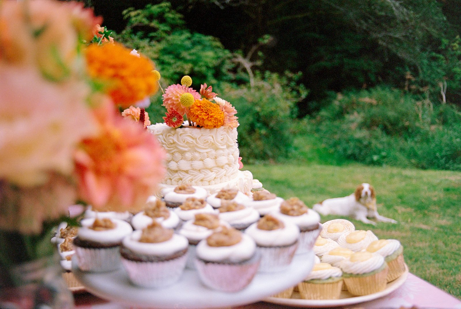JessBuckleyPhoto-AshleyJustin-385.jpg