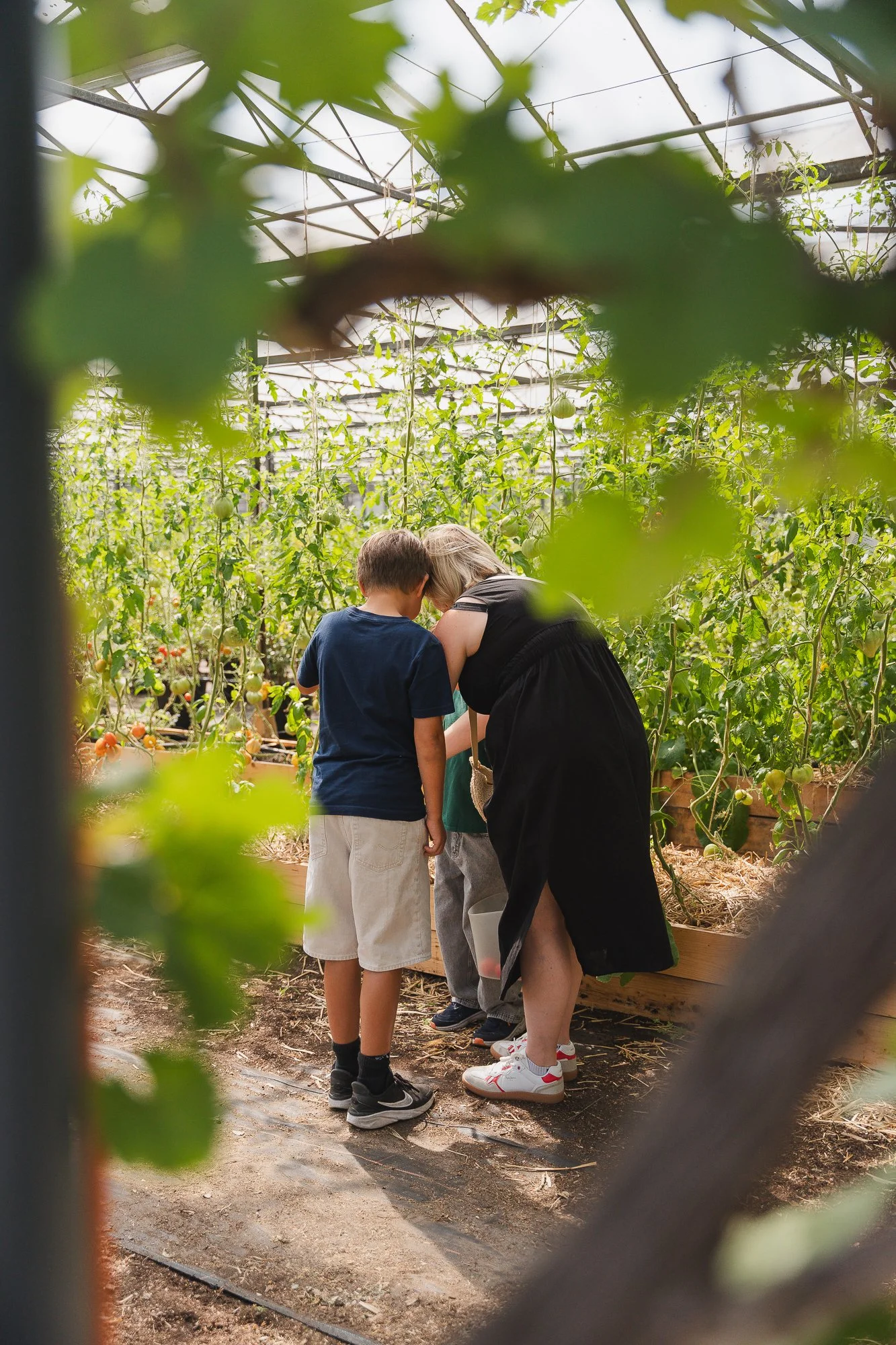 20250817-high res-109.jpg