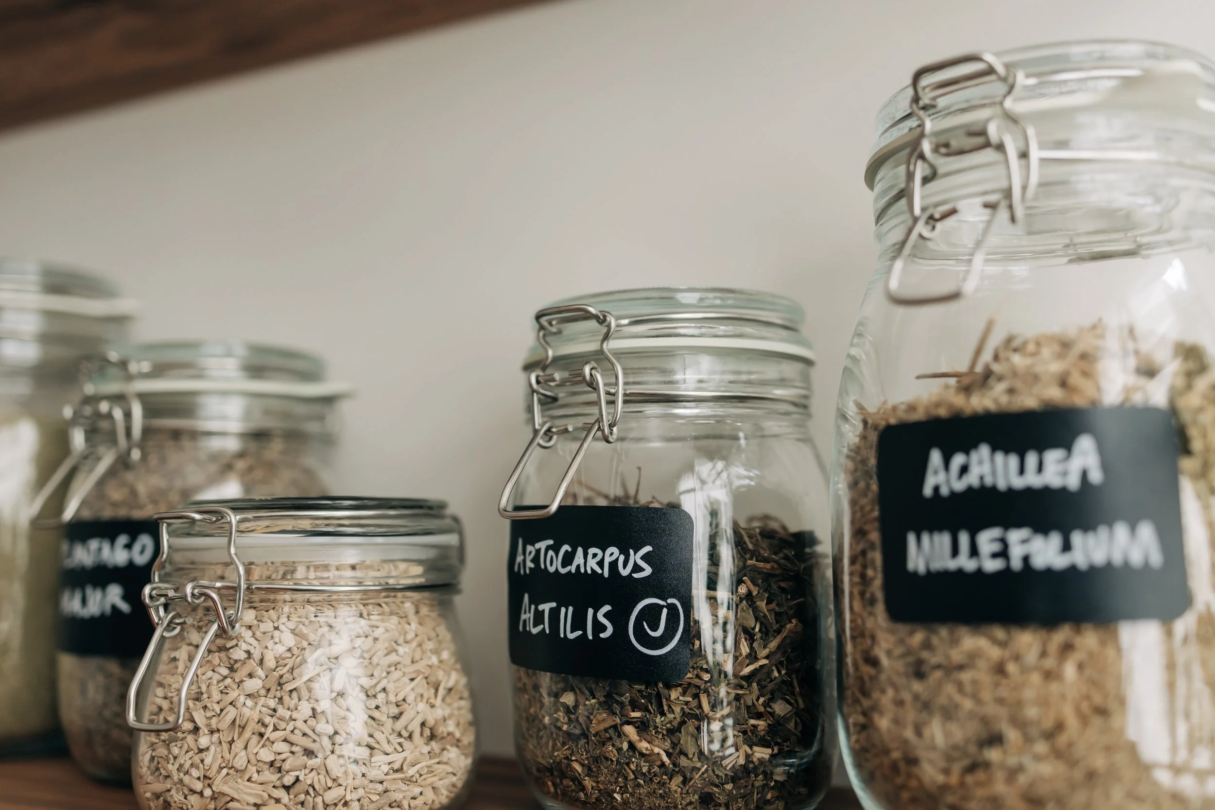 Exaustivo, Intenso, Incrível: Proof That the Hustle Pays Off