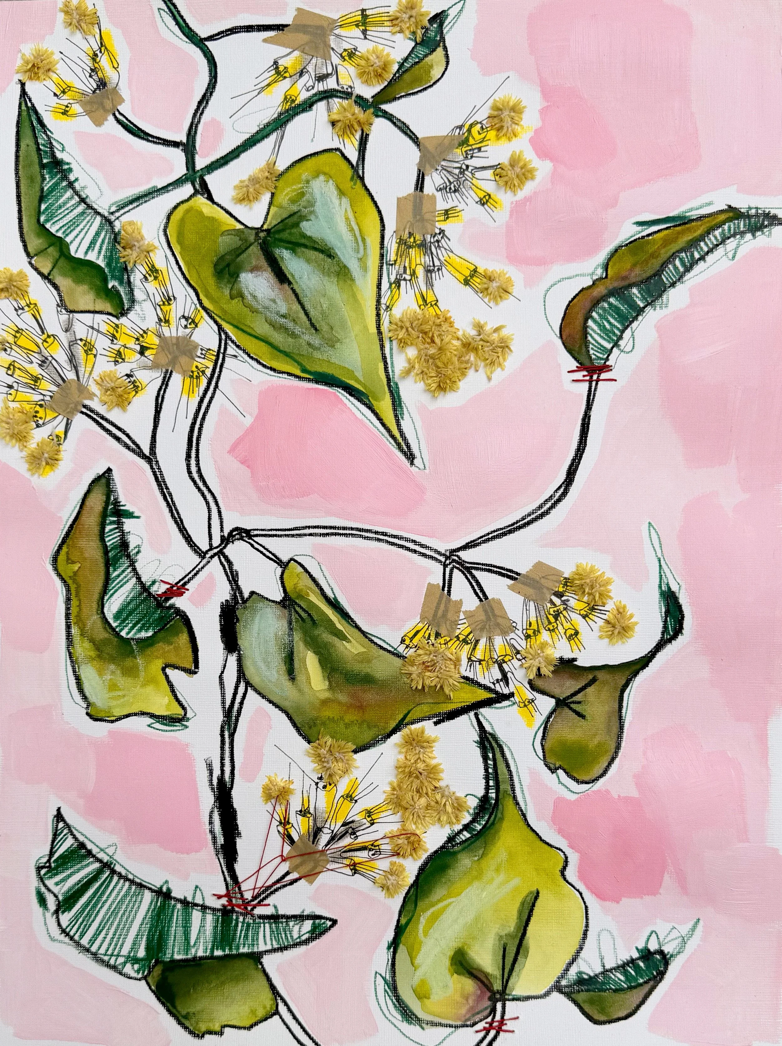 Guaco Materia Medica: Ode to Breath, Protection, and Arrival