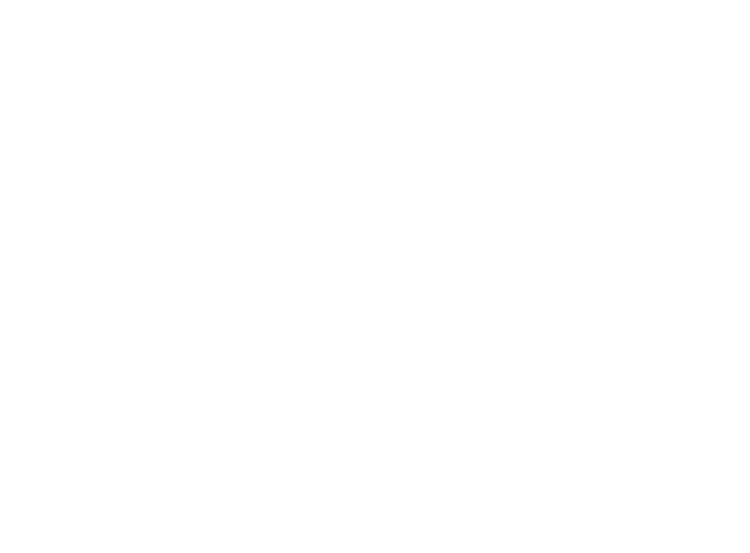 The Medici Group now Via Renaissance