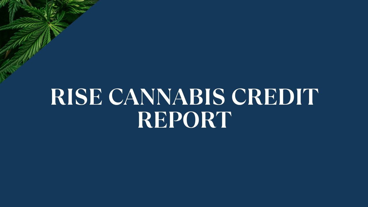 Rise Cannabis Credit Report &amp; Risk Rating