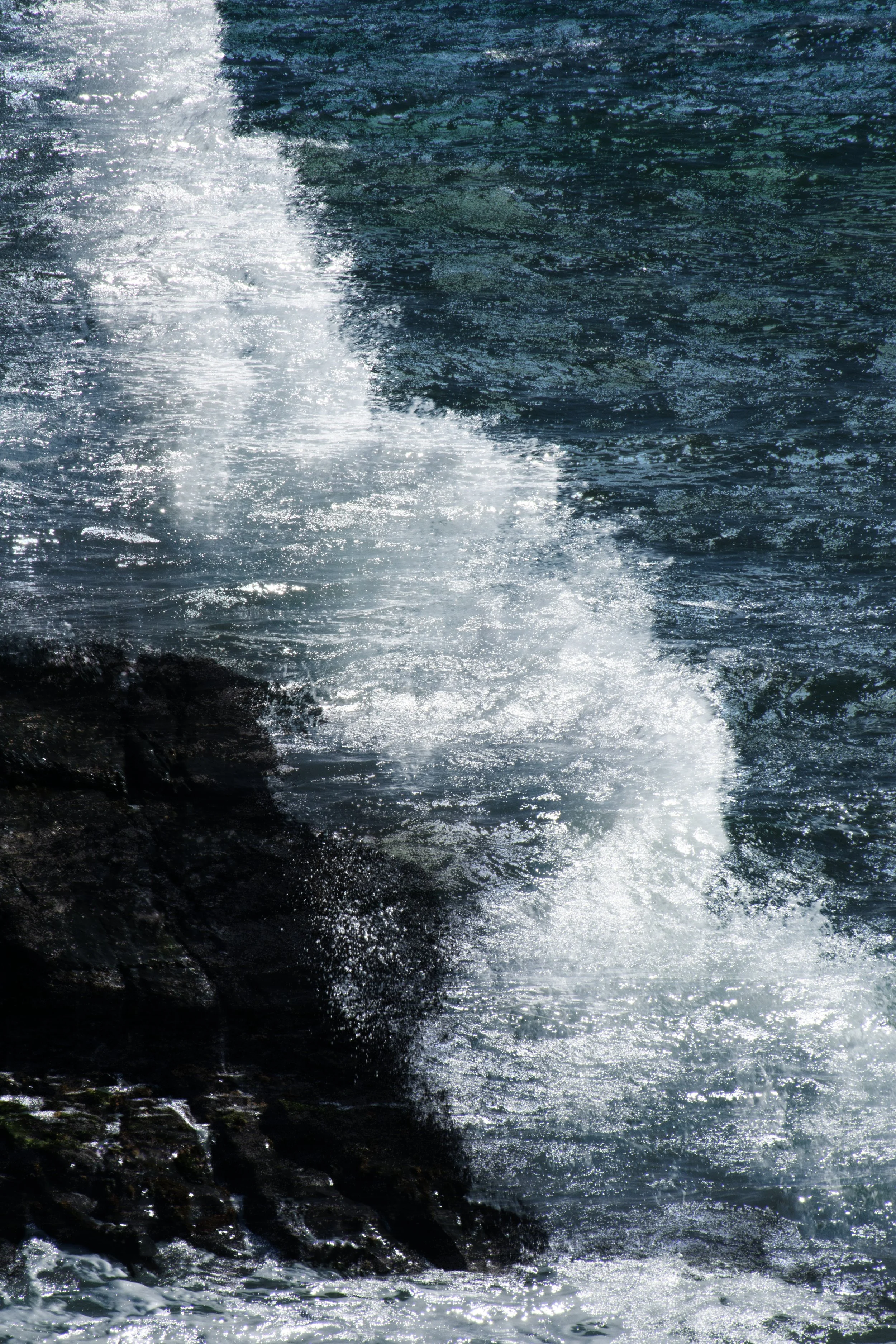 DSC_1601 1 1 1.jpeg