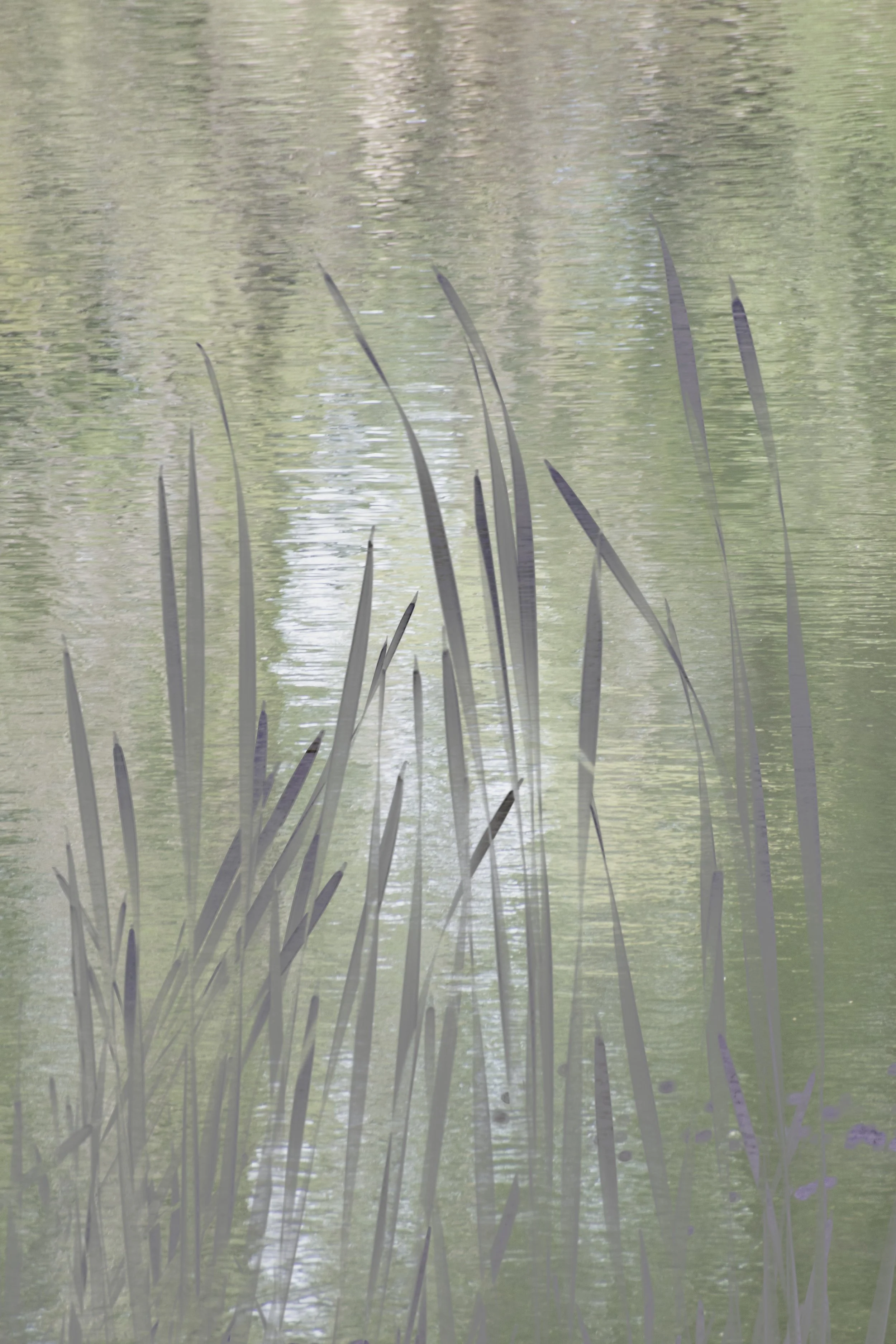 DSC_0845 11 1.jpeg