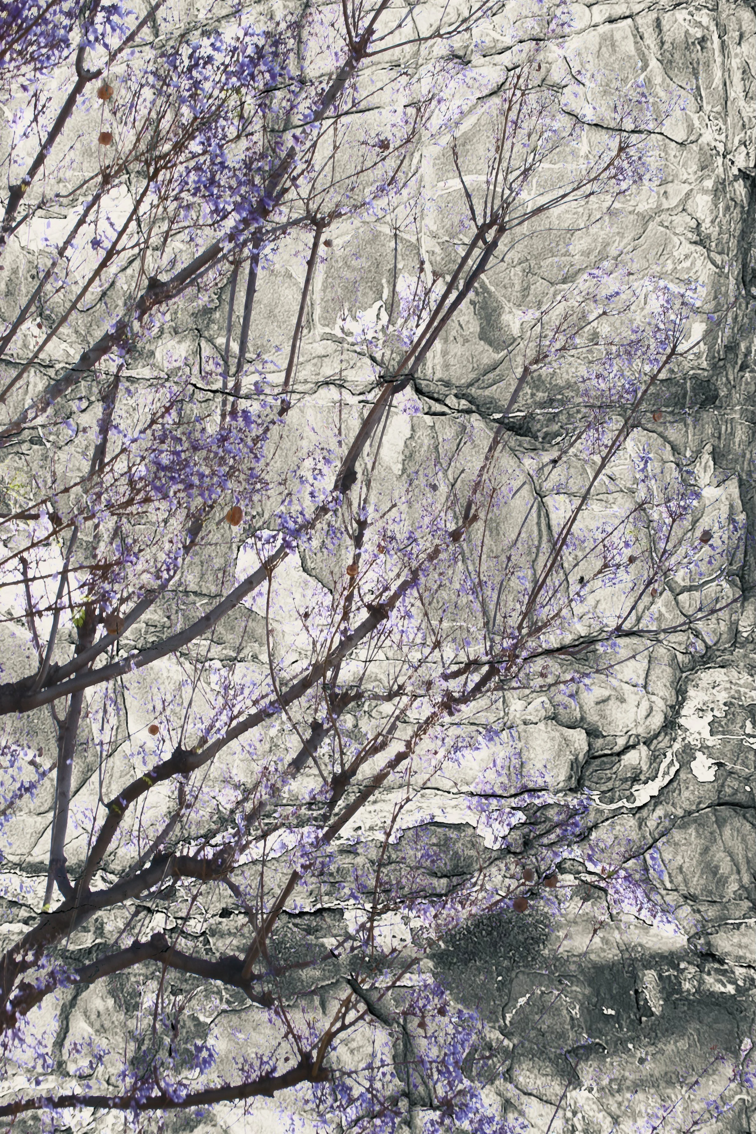 DSC_1565_edited-2 2 - Copy.jpg