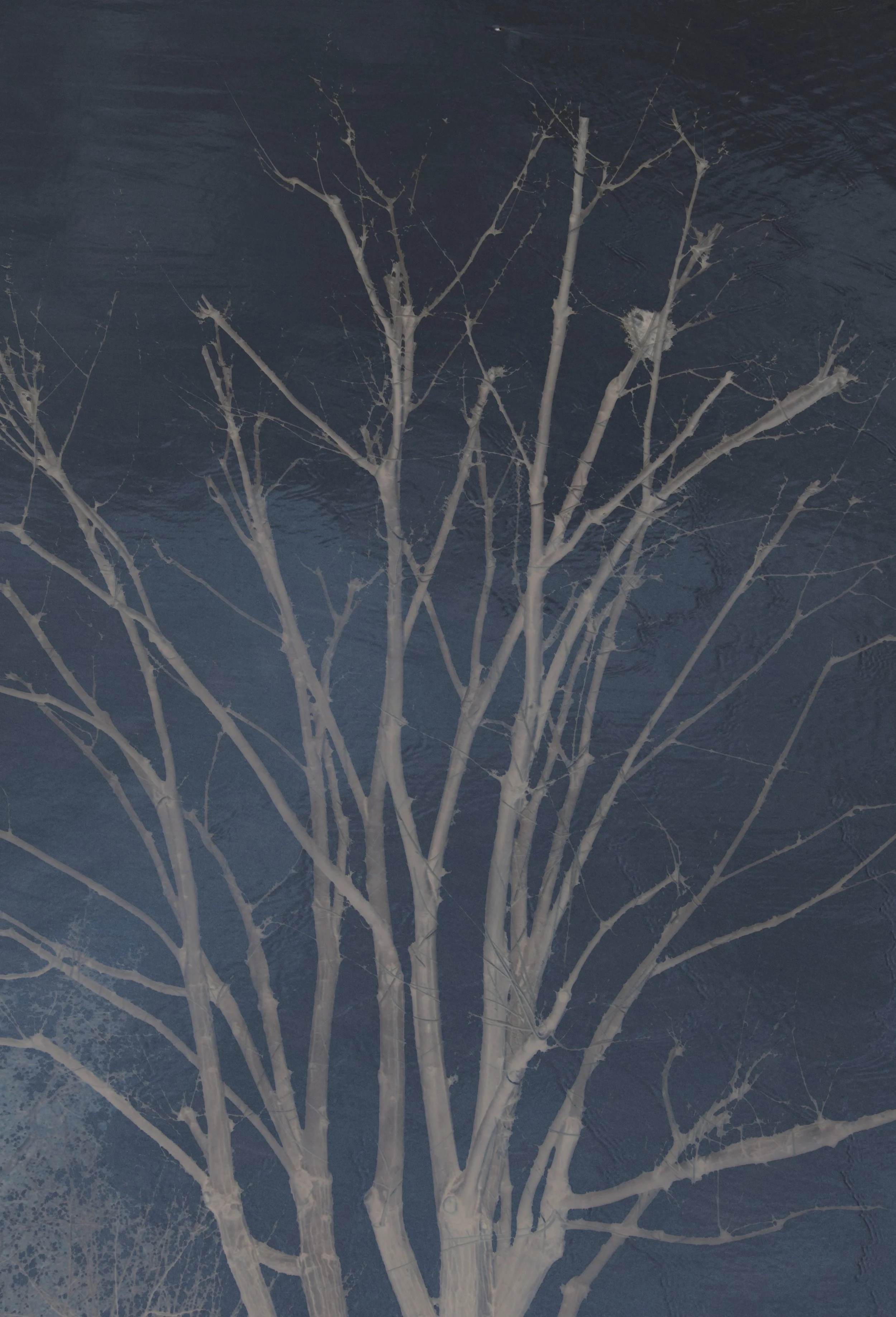 DSC_0038 1 1 1 1 - Copy.jpg