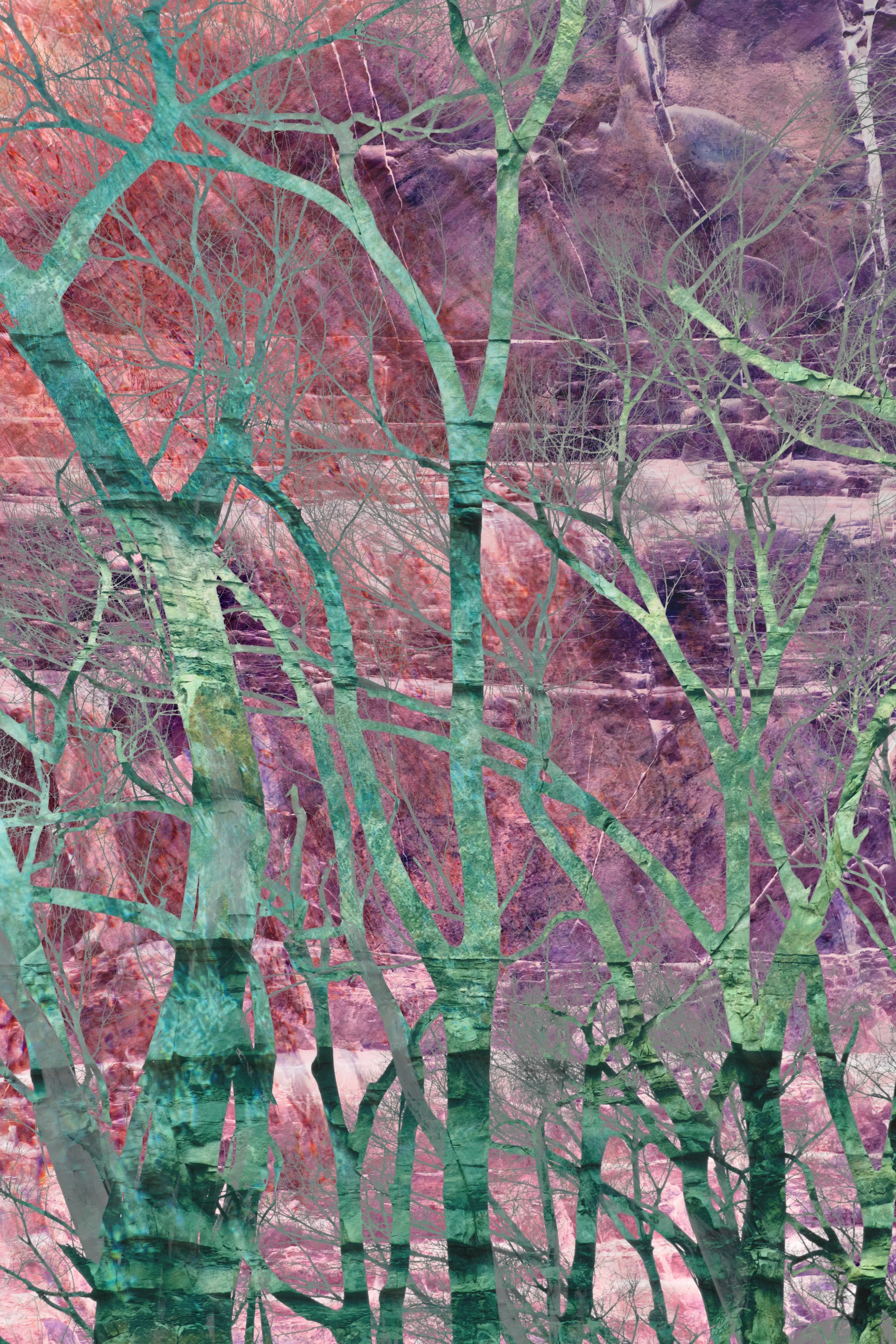 DSC_0172 - Copy 1 1 1 1 1 1 1 1 1 1 1 - Copy.jpg