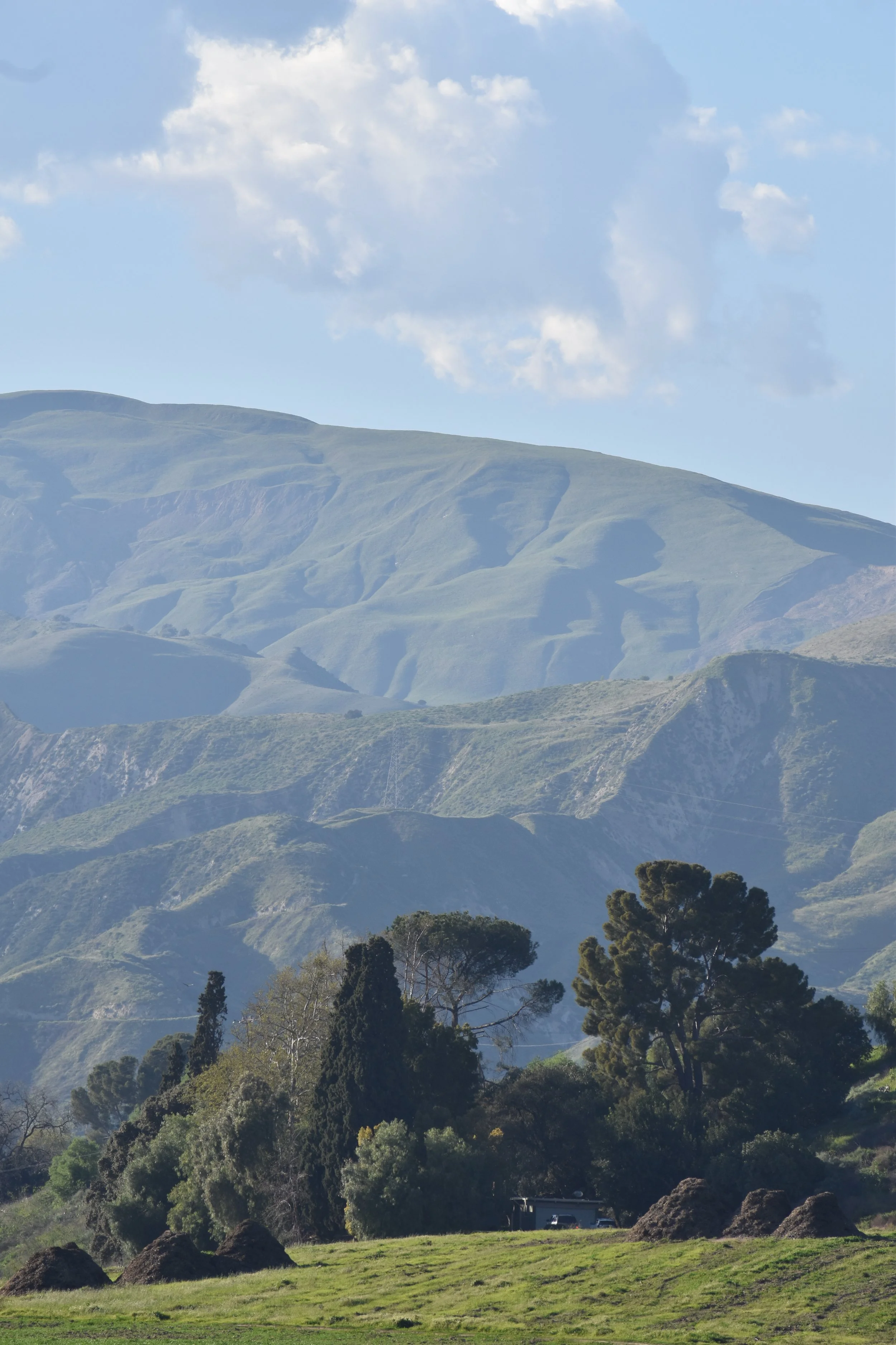 DSC_0520.JPG