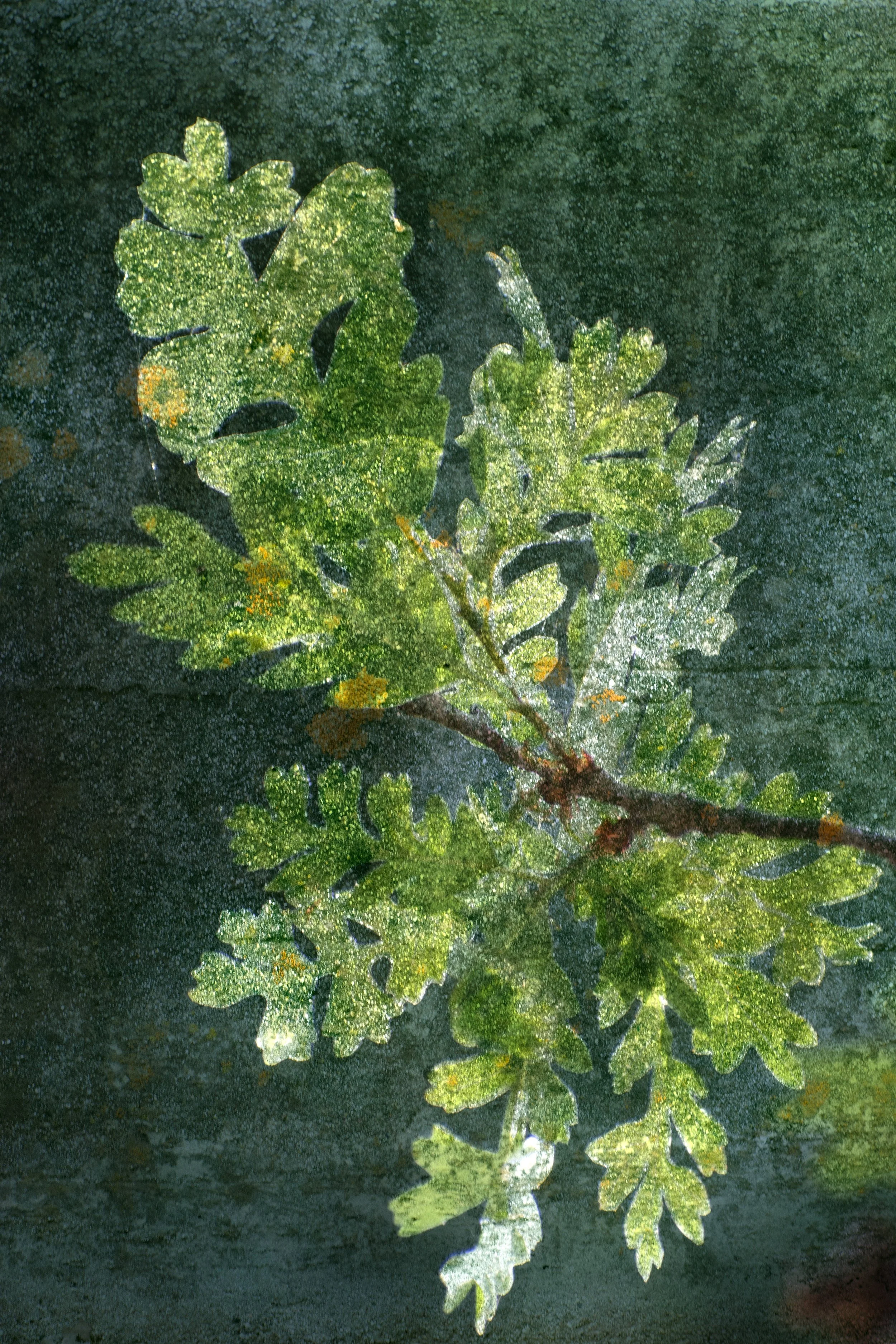 DSC_0624 1 1 1 1 1 1 7 7.jpg