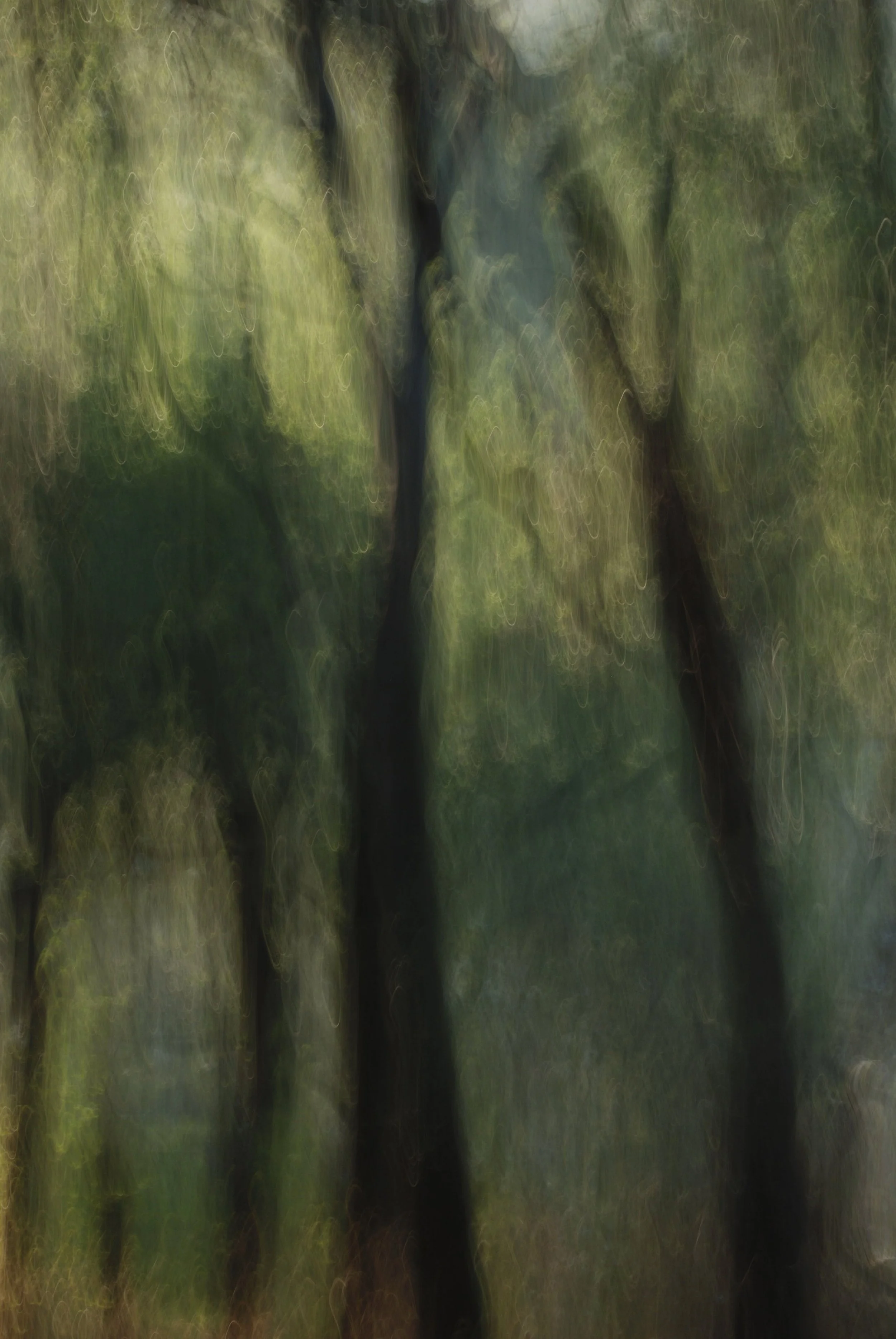 Copy of Oak Land_edited-2.jpg