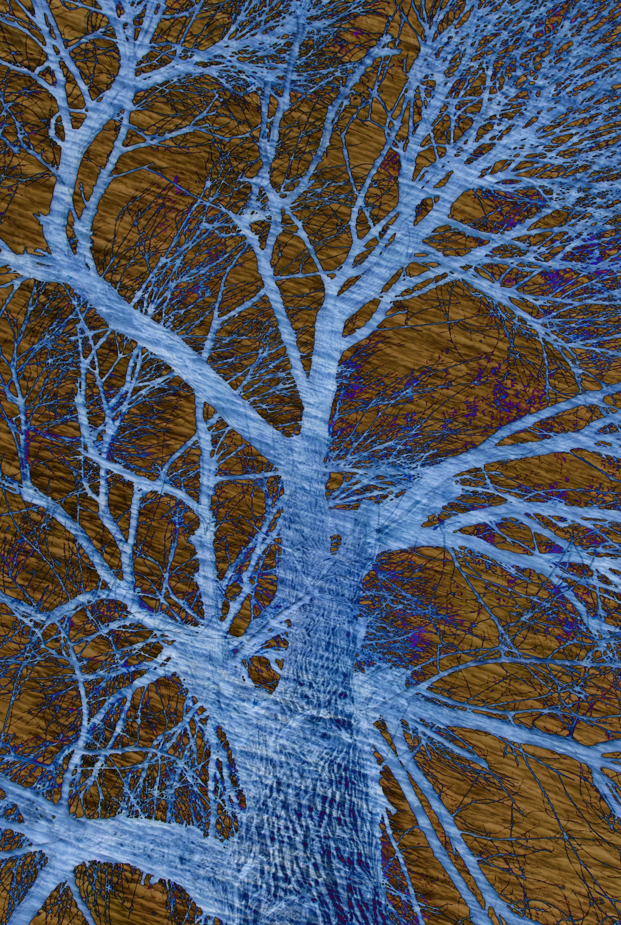 DSC_0978 1 1 15 - Copy.jpg