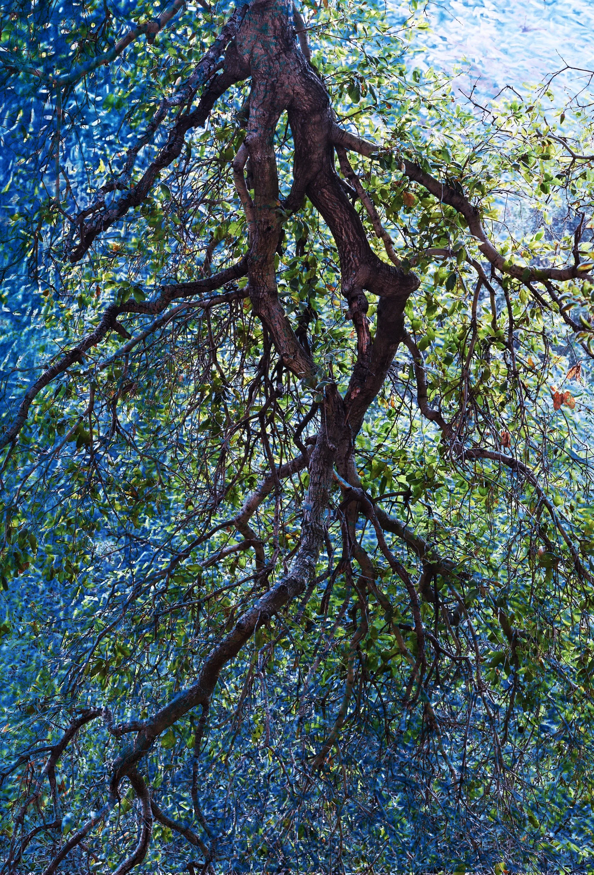 DSC_0154 1 1 1 1 1 1 1 1 - Copy.jpg